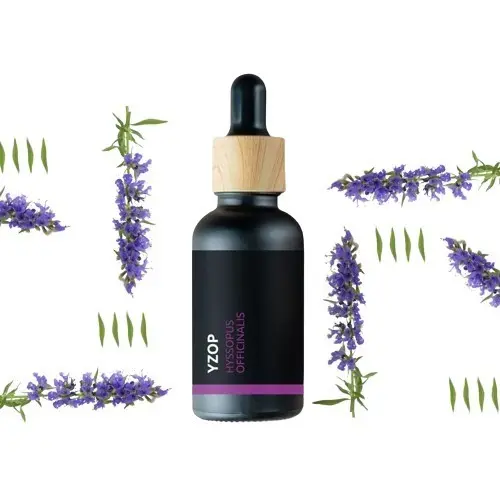 BIO Yzop - 100% přírodní esenciální olej (10ml) - Pěstík