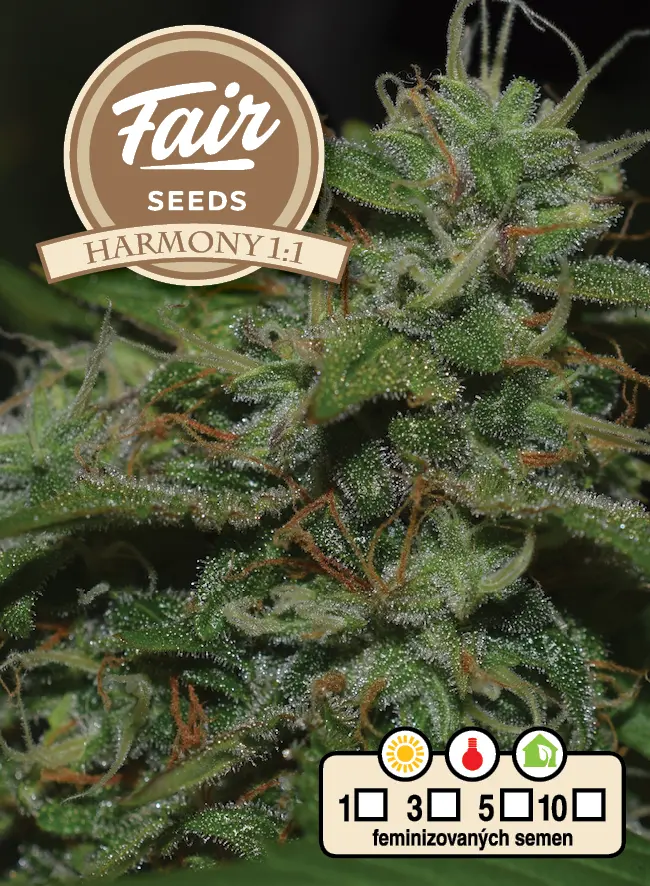 Fair Seeds Harmony 1:1 feminizovaná semena