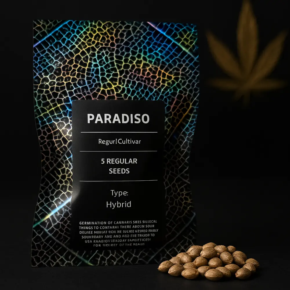 Maven Genetics Paradiso regulérní semena, 5 ks