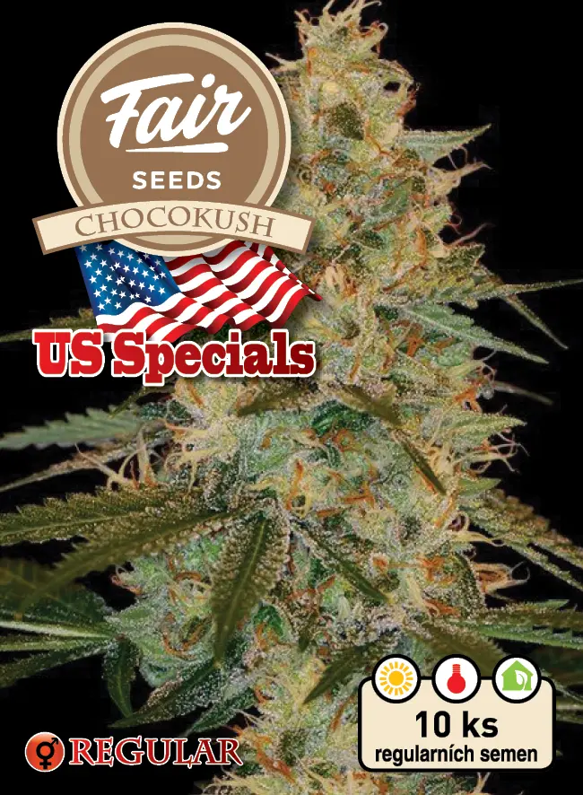 Fair Seeds Chocokush regulérní semena, 10 ks