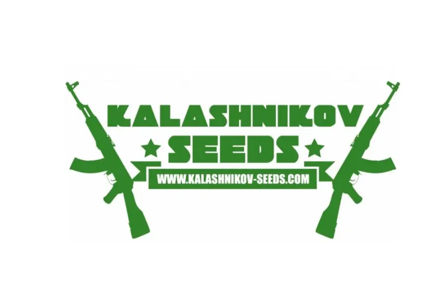 Kalashnikov Seeds AK Skunk Auto feminizovaná samonakvétací semena