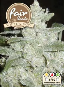 White Widow -  feminizovaná semena 10 ks Fair Seeds