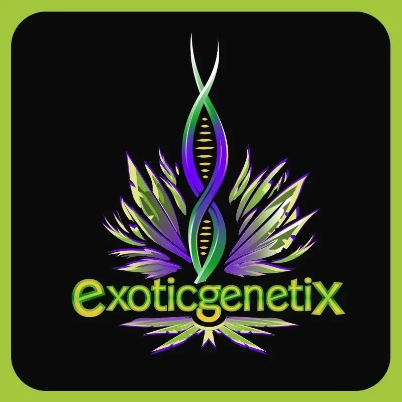Exotic Genetix Metatron feminizovaná semena