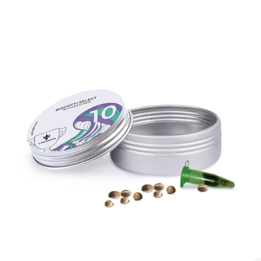 Biscotti Select - feminizovaná semínka 10 ks Cannapio