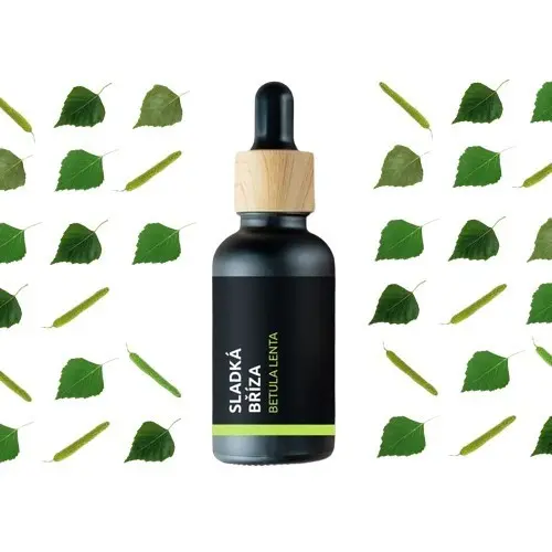 BIO Sladká bříza - 100% přírodní esenciální olej (10ml) - Pěstík