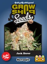 Jack Herer - 10 feminizovaných semínek Growshop