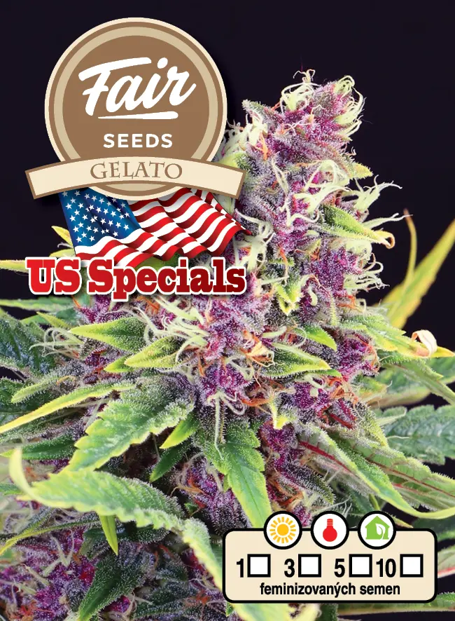 Fair Seeds Gelato feminizovaná semena