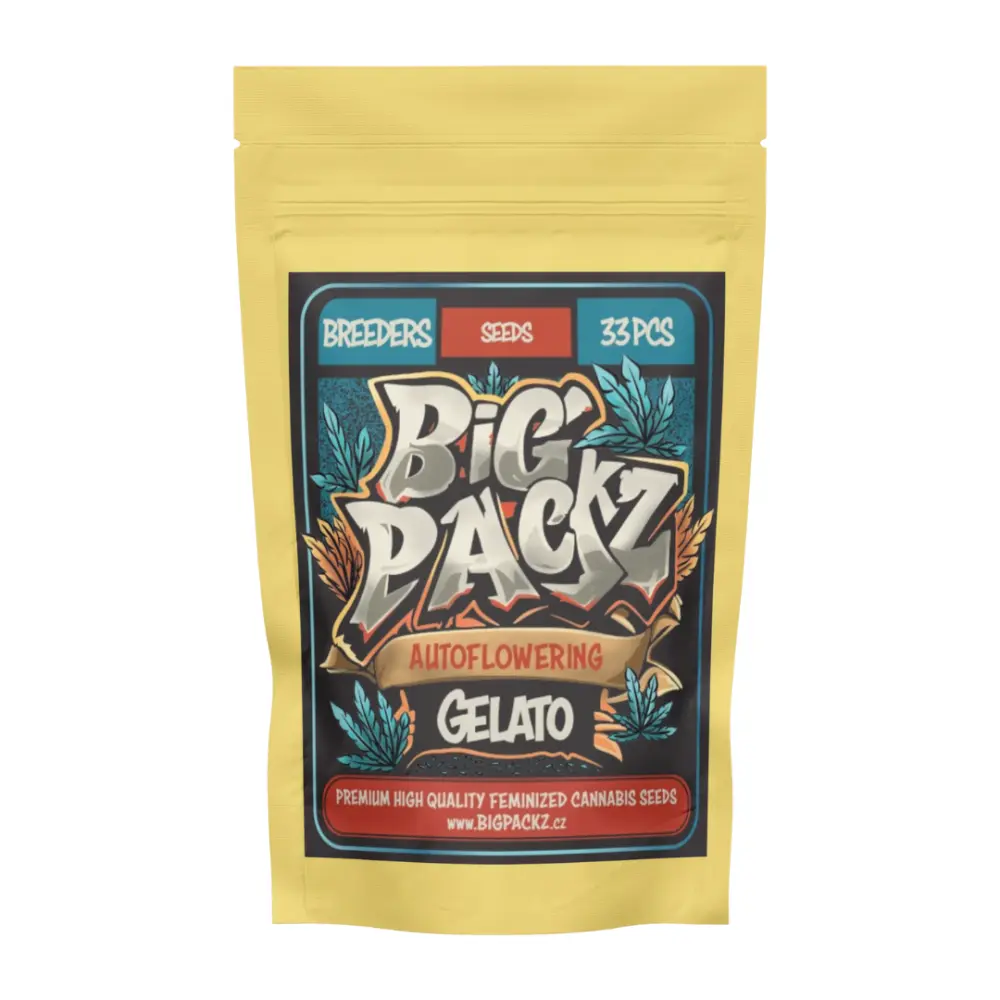Big Packz Gelato Auto samonakvétací semena, 33 ks