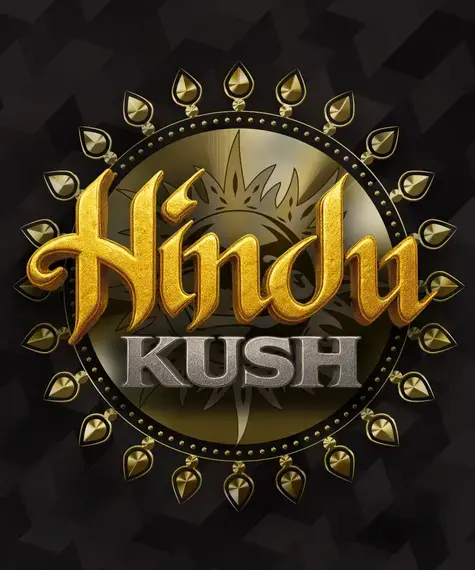 Hindu Kush Feminizovaná Semínka - 10