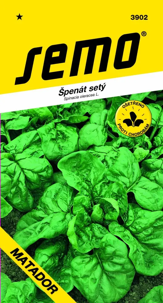 Špenát setý, semena