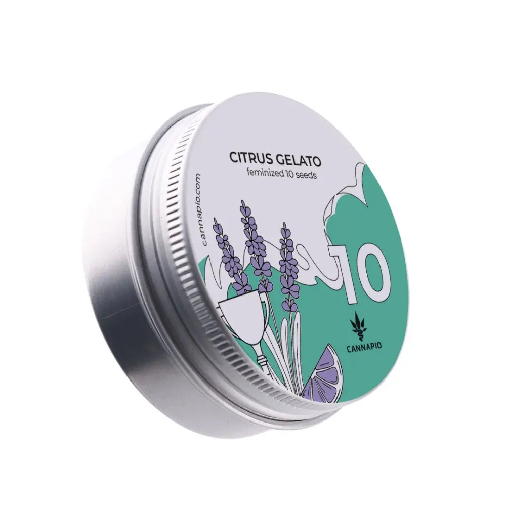 Citrus Gelato - feminizovaná semínka 10 ks Cannapio