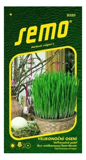 Velikonoční osení – semena na jarní dekoraci