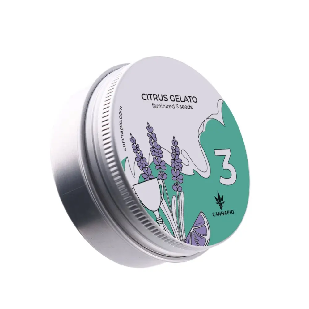Citrus Gelato - feminizovaná semínka 3 ks Cannapio