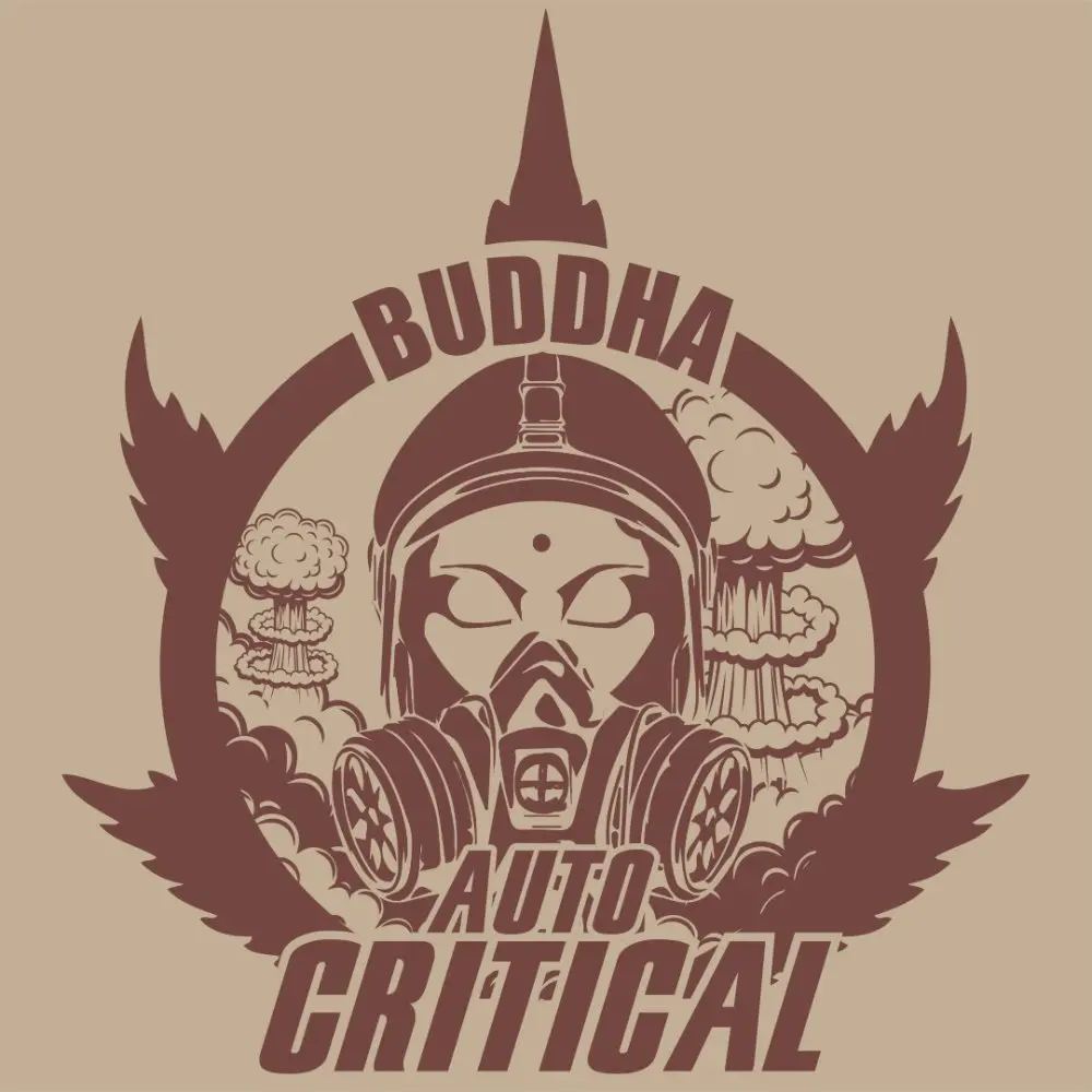 Buddha Autoflowering Critical, 3 ks, Buddha Seeds