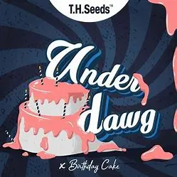 T.H. Seeds Underdawg Cake regulérní semena, 11 ks