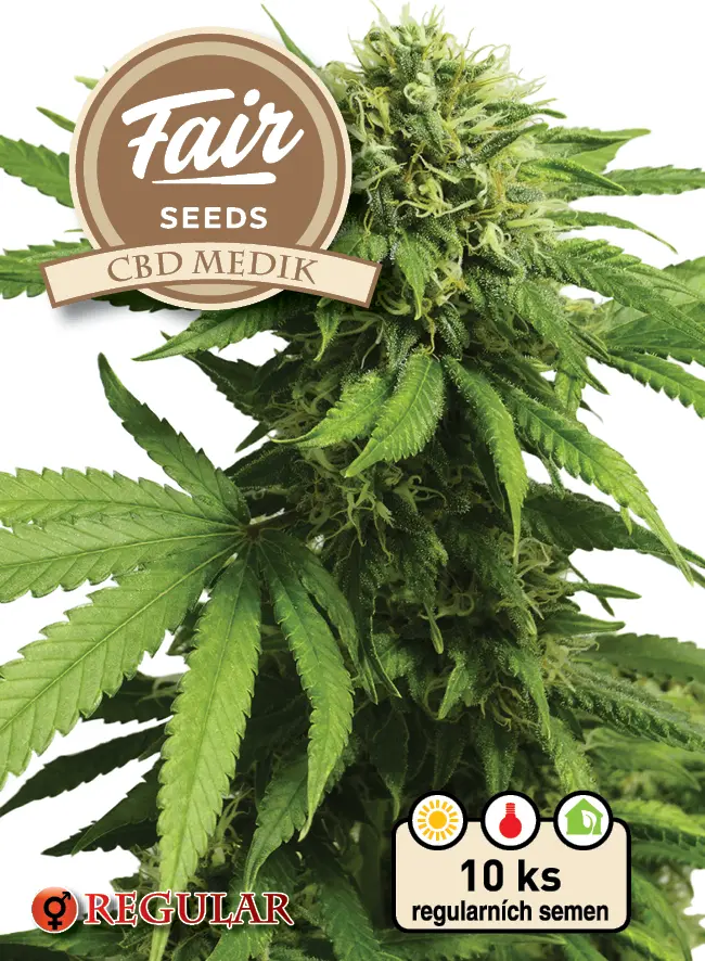 Fair Seeds CBD Medik regulérní semena, 3 ks