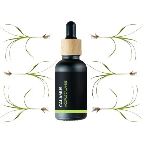 BIO Calamus - 100% přírodní esenciální olej (10ml) - Pěstík