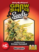 Cream Caramel - 5 fem. a samonakvétací semena Growshop seeds