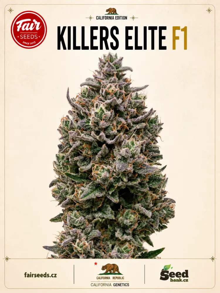 Fair Seeds Killers Elite F1 feminizovaná semena