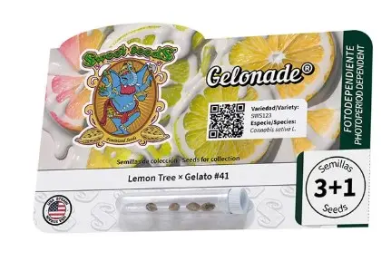 Sweet Seeds Gelonade feminizovaná semena