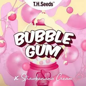 T.H. Seeds Original Bubblegum x Strawbanana Cream regulérní semena