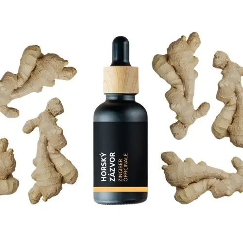 BIO Horský zázvor - 100% přírodní esenciální olej (10ml) - Pěstík