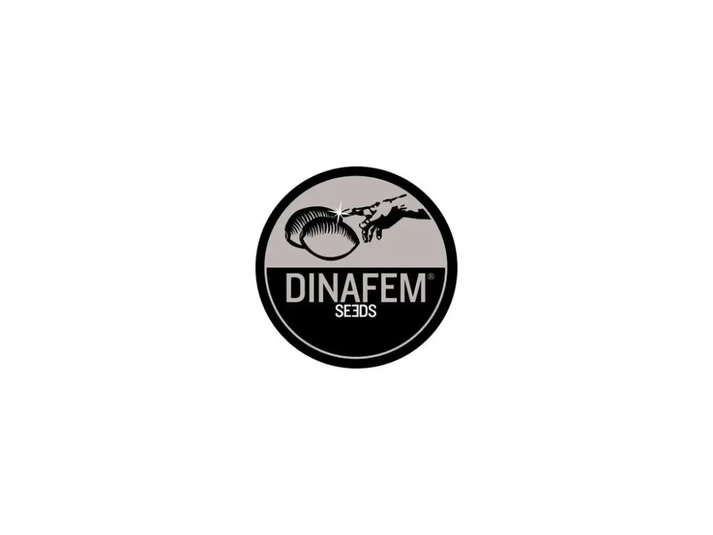 Auto Dinafem Collectors Pack 27 feminizovaná samonakvétací semena