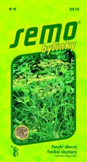 Fenchel allgemein – Kräutersamen
