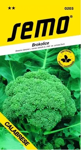 Brokolice Ramoso Calabrese