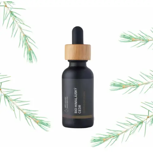 BIO Himálajský cedr - 100% přírodní esenciální olej (10 ml)
