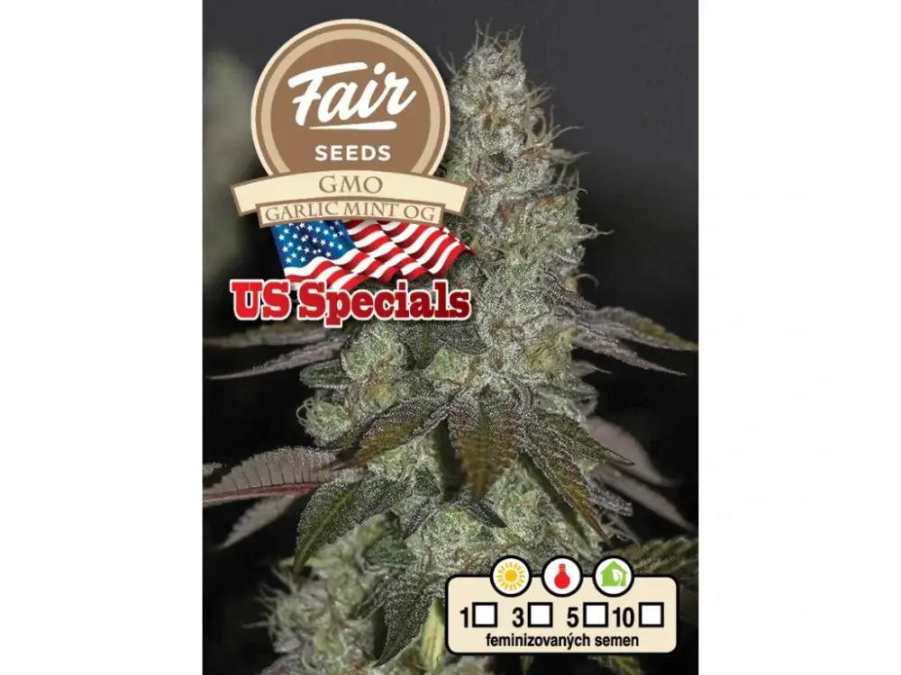 Fair Seeds GMO Garlic Mint OG feminizovaná semena
