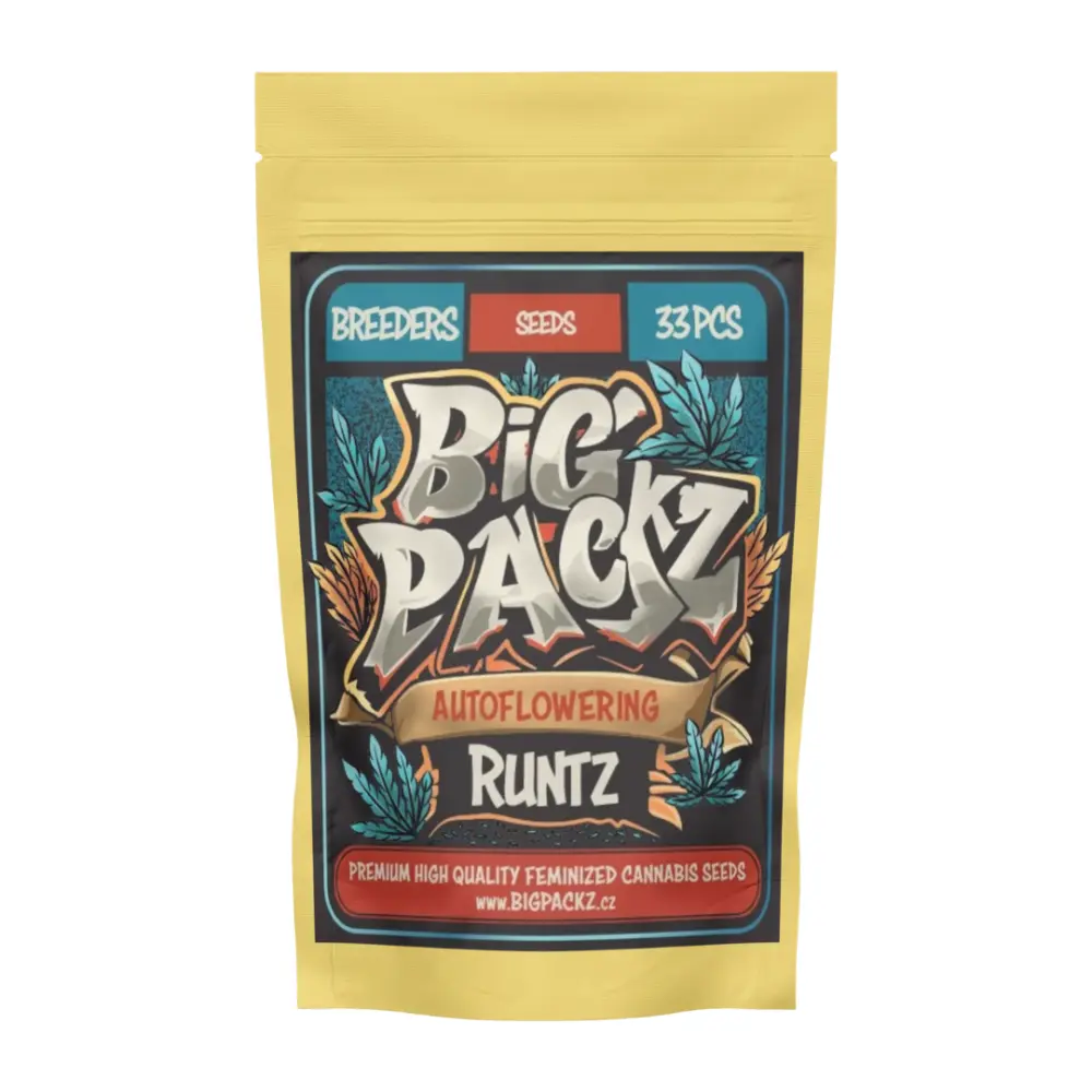 Big Packz Runtz Auto samonakvétací semena