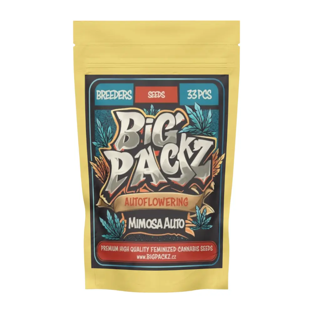 Big Packz Mimosa Auto samonakvétací semena, 33 ks