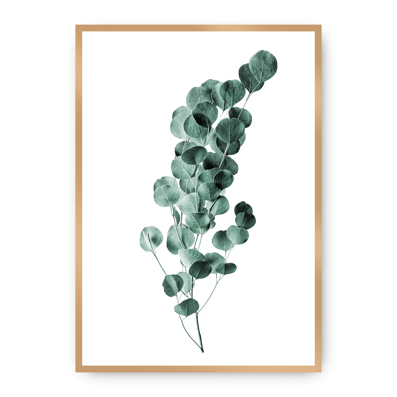 Dekoria Plakát Eucalyptus Emerald Green, 21 x 30 cm, Ramka: Złota