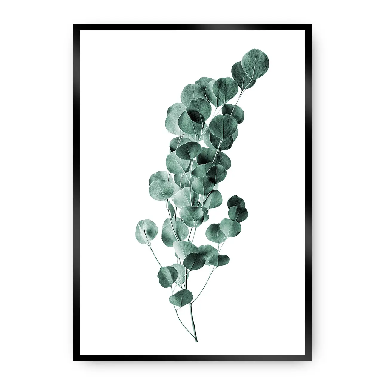 Dekoria Plakát Eucalyptus Emerald Green, 21 x 30 cm, Ramka: Czarna
