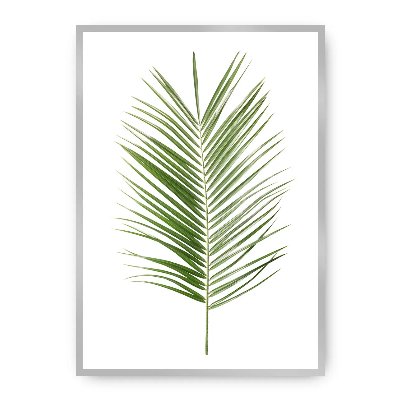 Dekoria Plakát Palm Leaf Green, 21 x 30 cm, Vybrat rám: Stříbrný