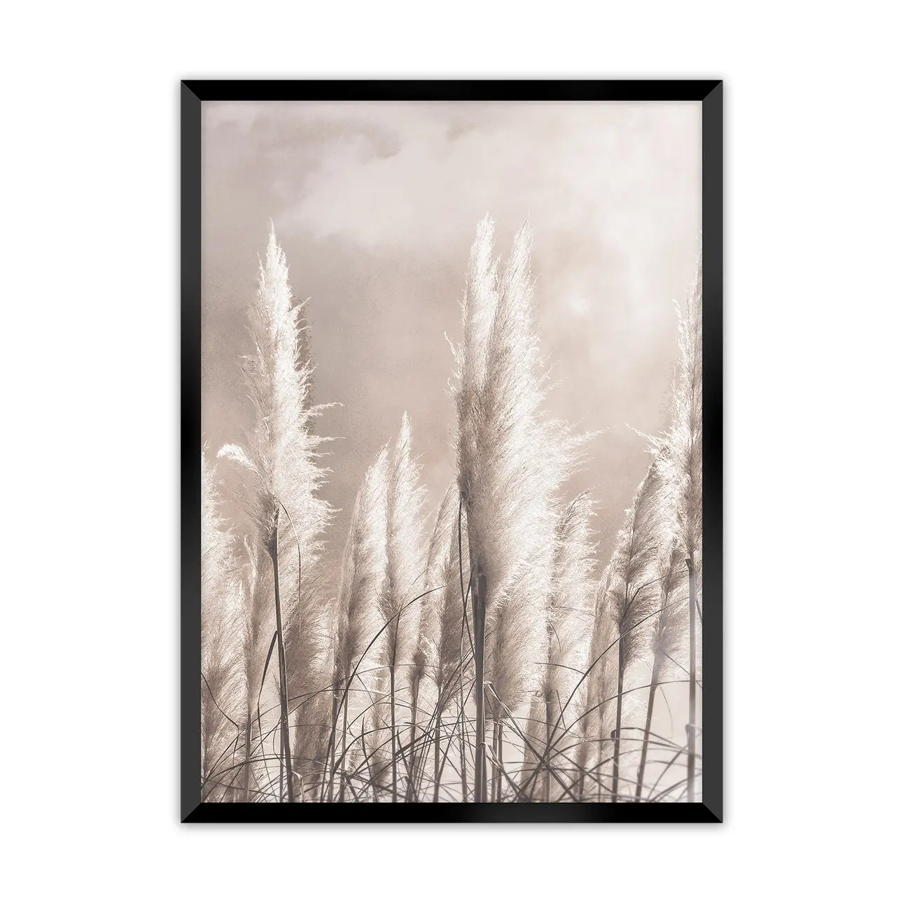 Dekoria Obraz Grass, 30 x 40 cm