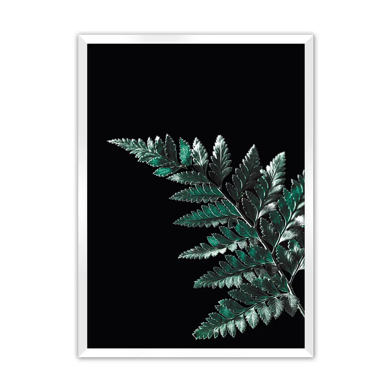 Dekoria Plakát Dark Fern Leaf, 70 x 100 cm, Volba rámku: Bílý