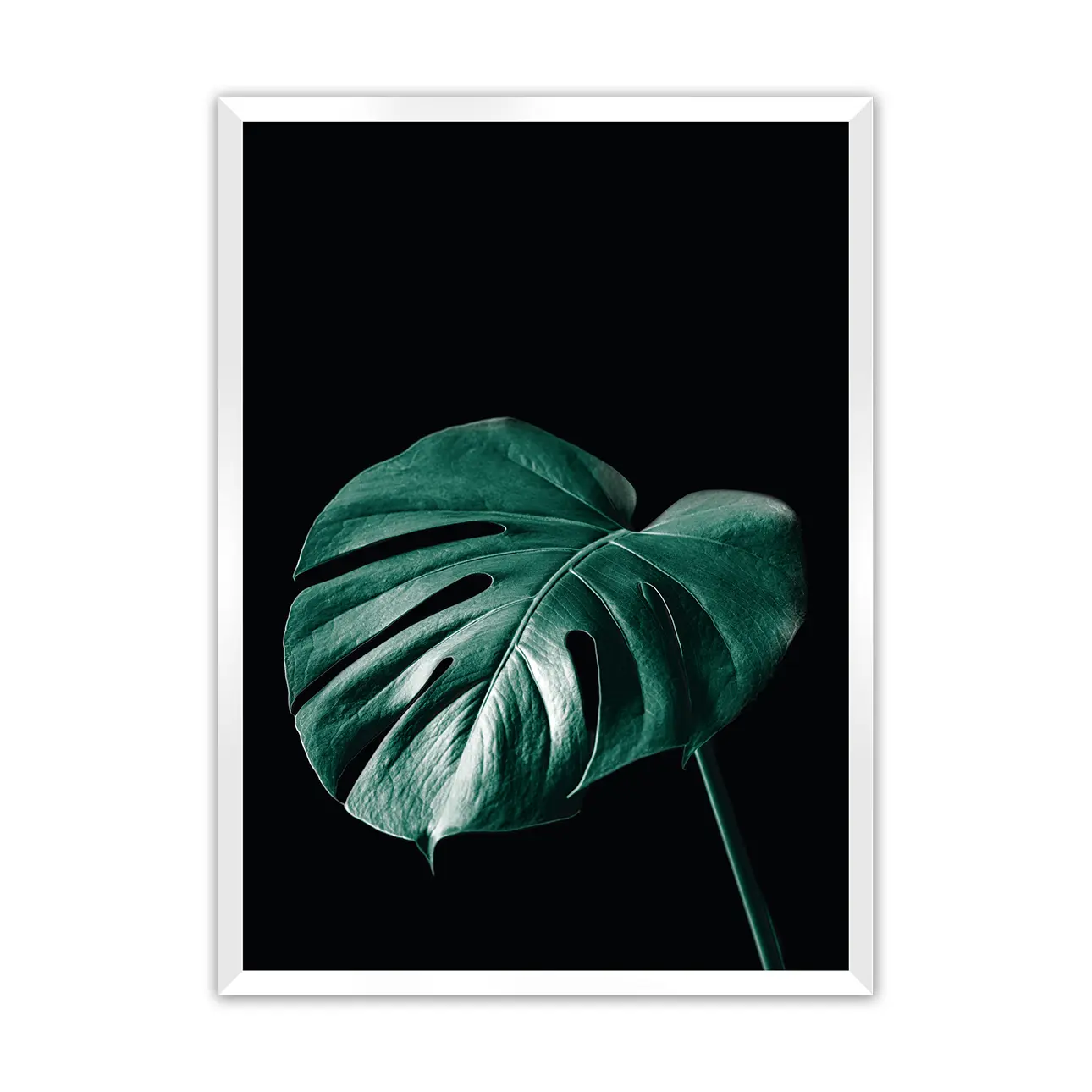 Dekoria Plakát Dark Monstera, 70 x 100 cm, Volba rámku: Bílý
