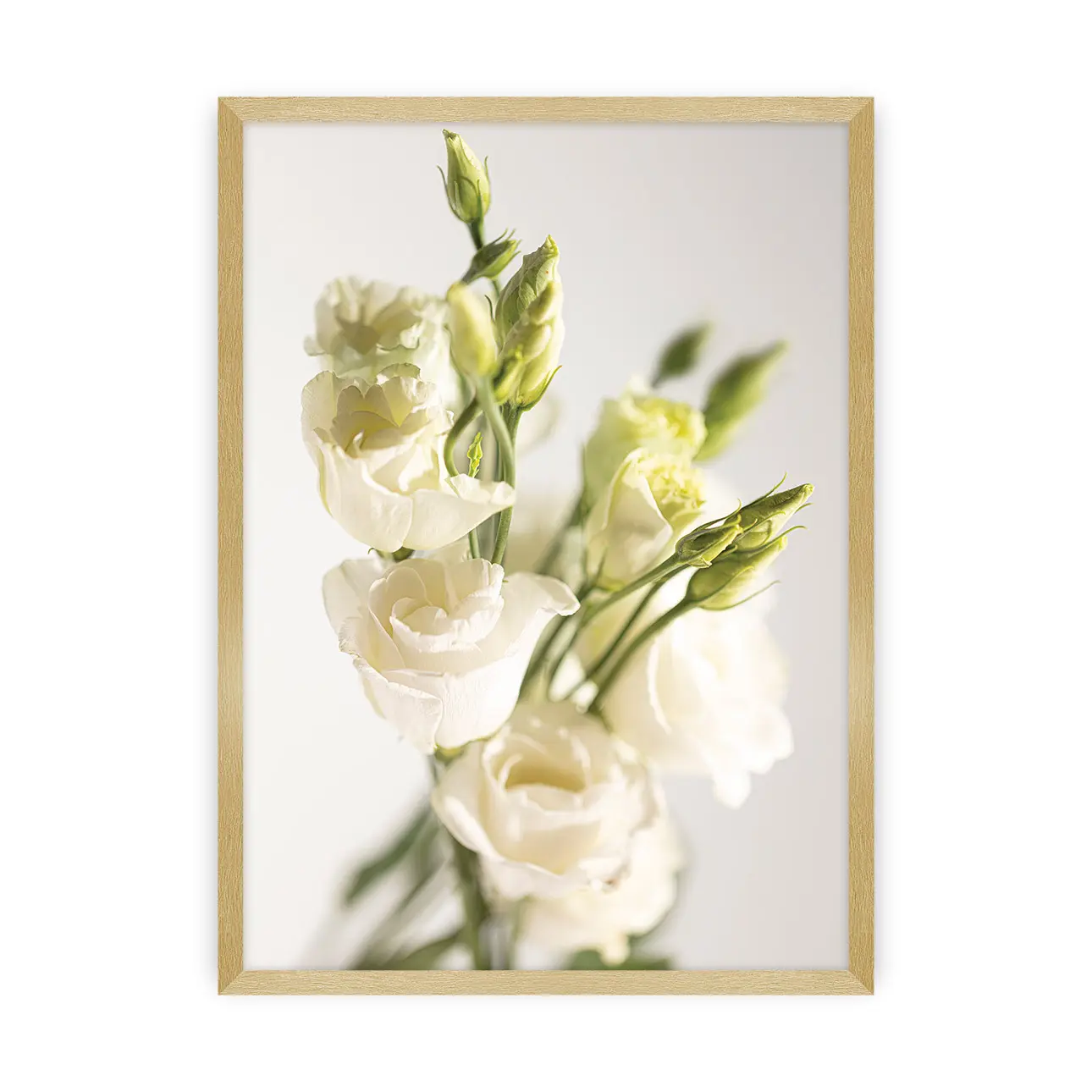 Dekoria Plakát Elegant Flowers, 21 x  30 cm, Volba rámku: Zlatý
