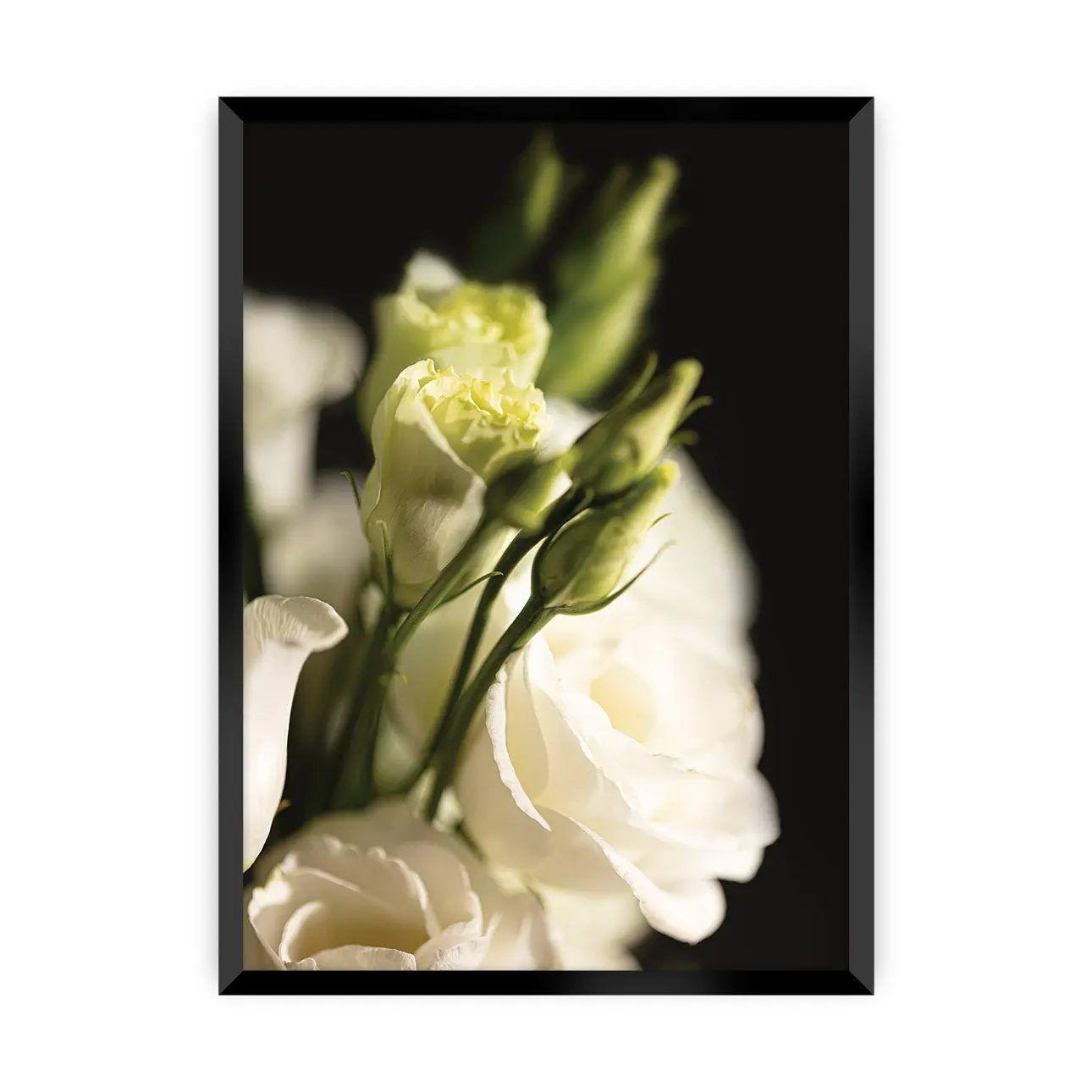 Dekoria Plakát Dark Flowers I, 21 x  30 cm, Volba rámku: Černý