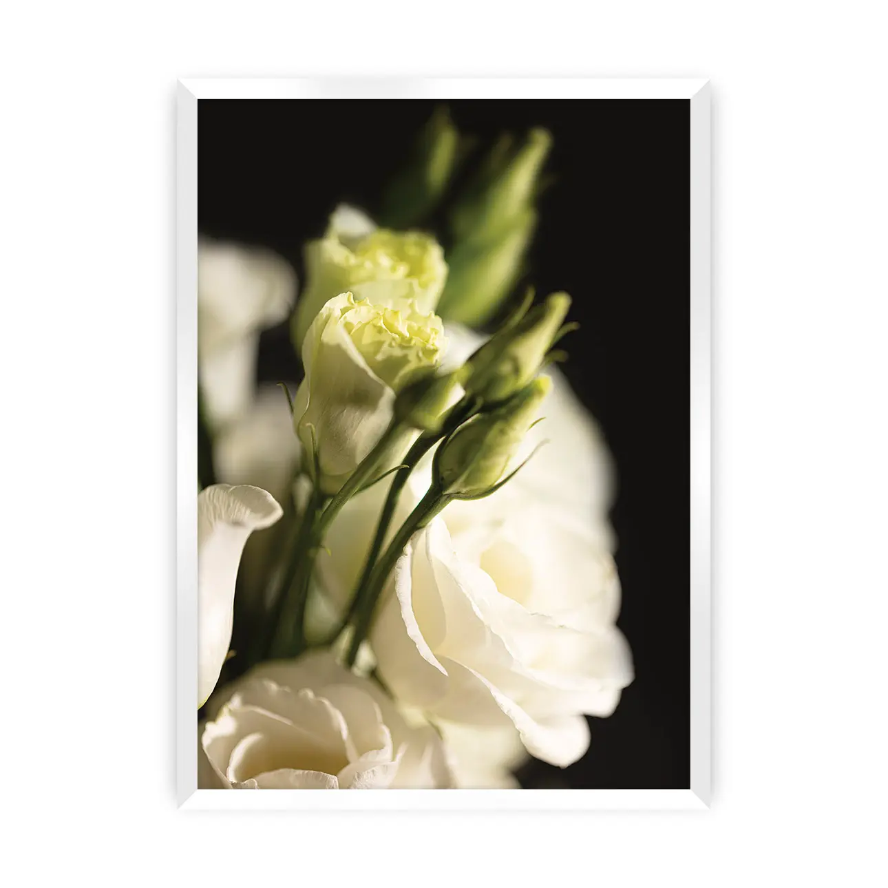 Dekoria Plakát Dark Flowers I, 21 x  30 cm, Volba rámku: Bílý