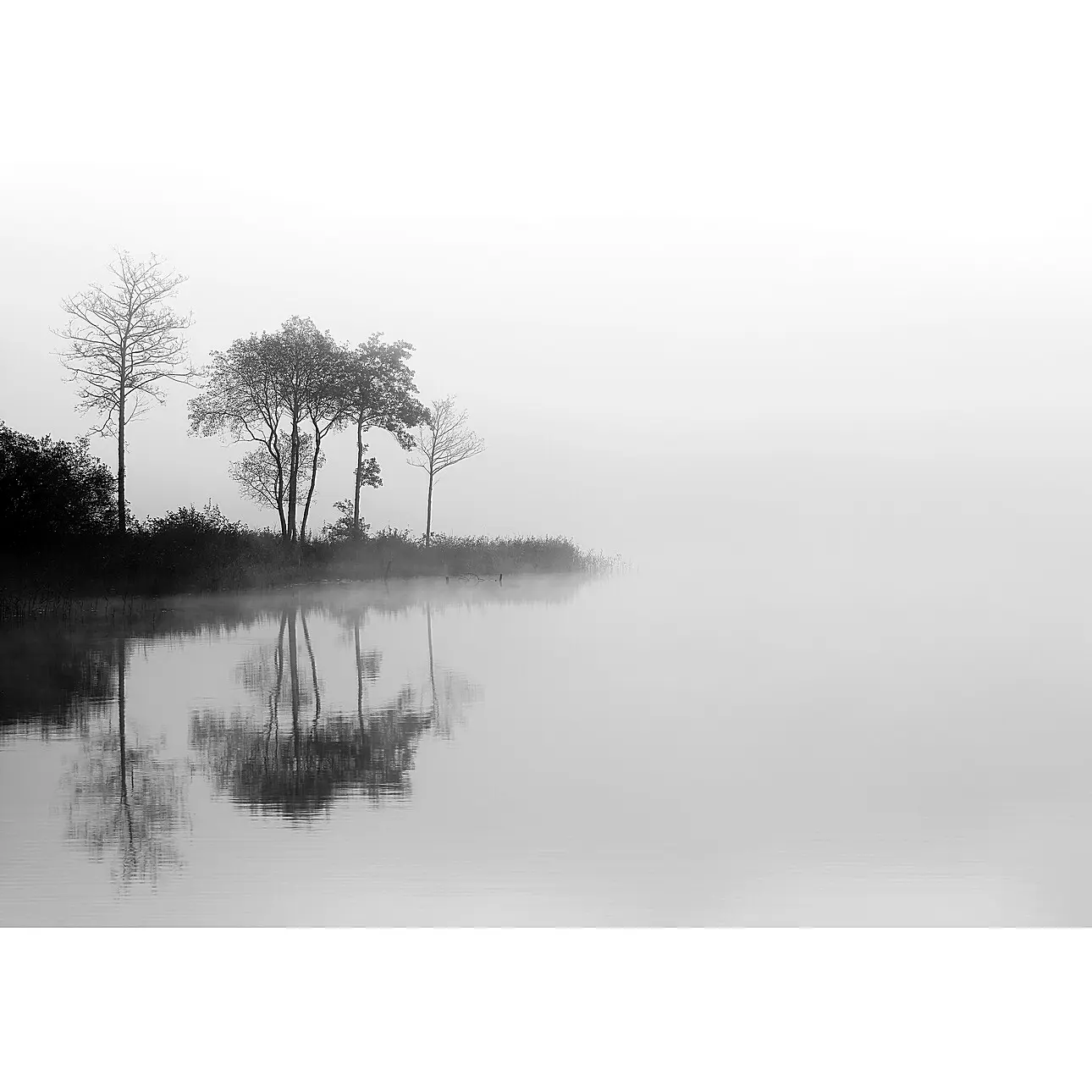 Dekoria Obraz na plátně By the Lake I, 50 x 70 cm