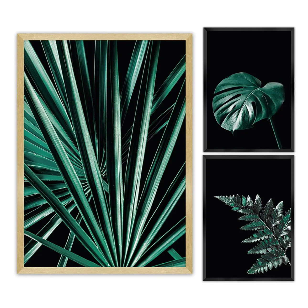 Dekoria Sada obrázků Botanica 3ks., 70x100cm/ 40x50cm