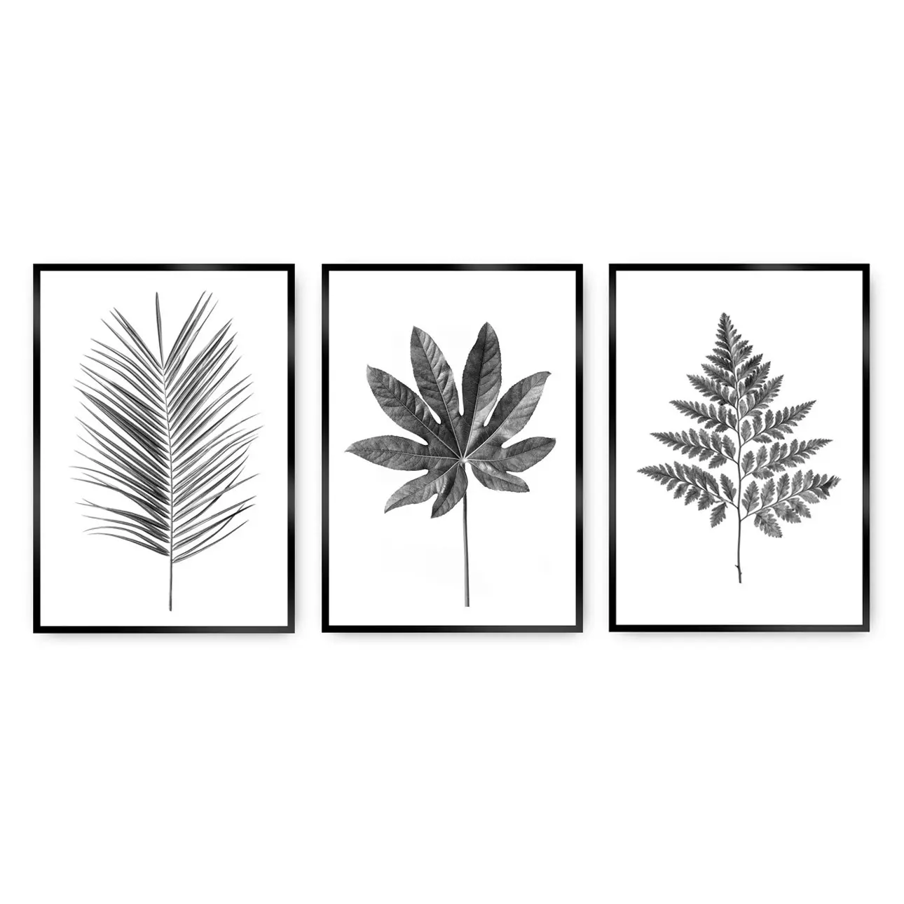 Dekoria Sada obrazů Tropical Grey 3ks., 40 x 50 cm