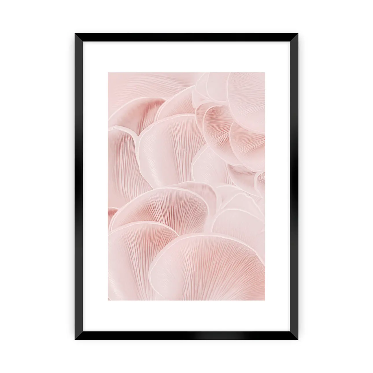 Dekoria Plakát Pastel Pink I, 21 x 30 cm, Zvolit rámek: Černý