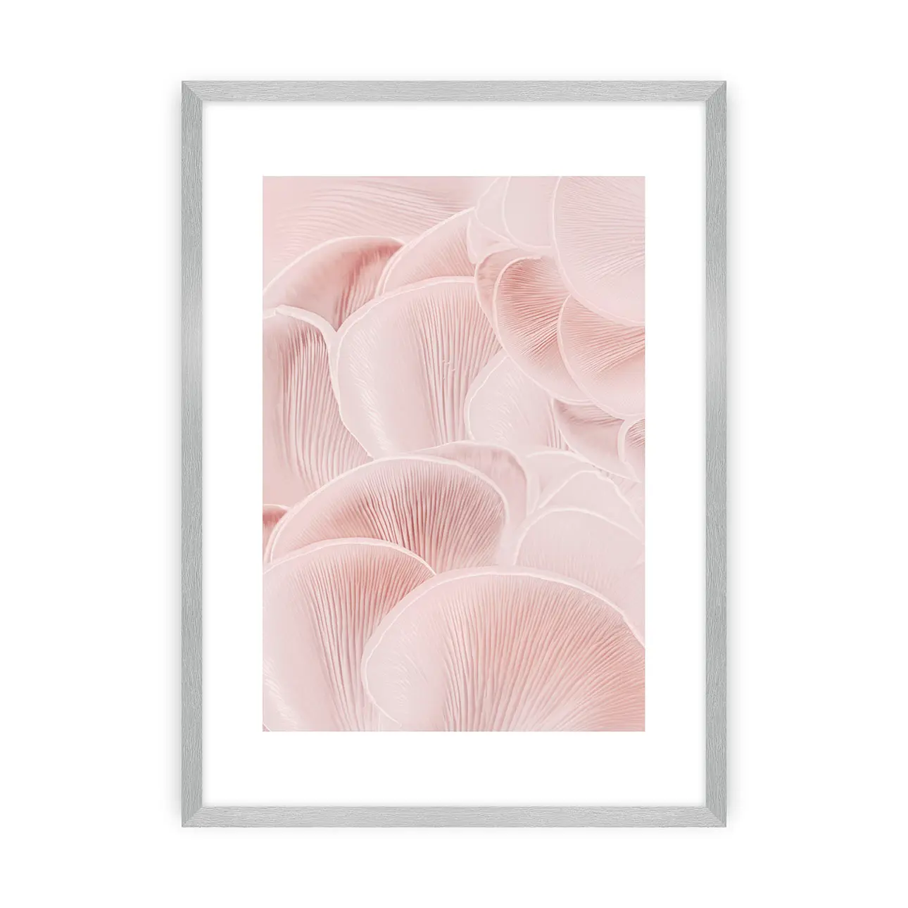 Dekoria Plakát Pastel Pink I, 40 x 50 cm, Zvolit rámek: Stříbrný