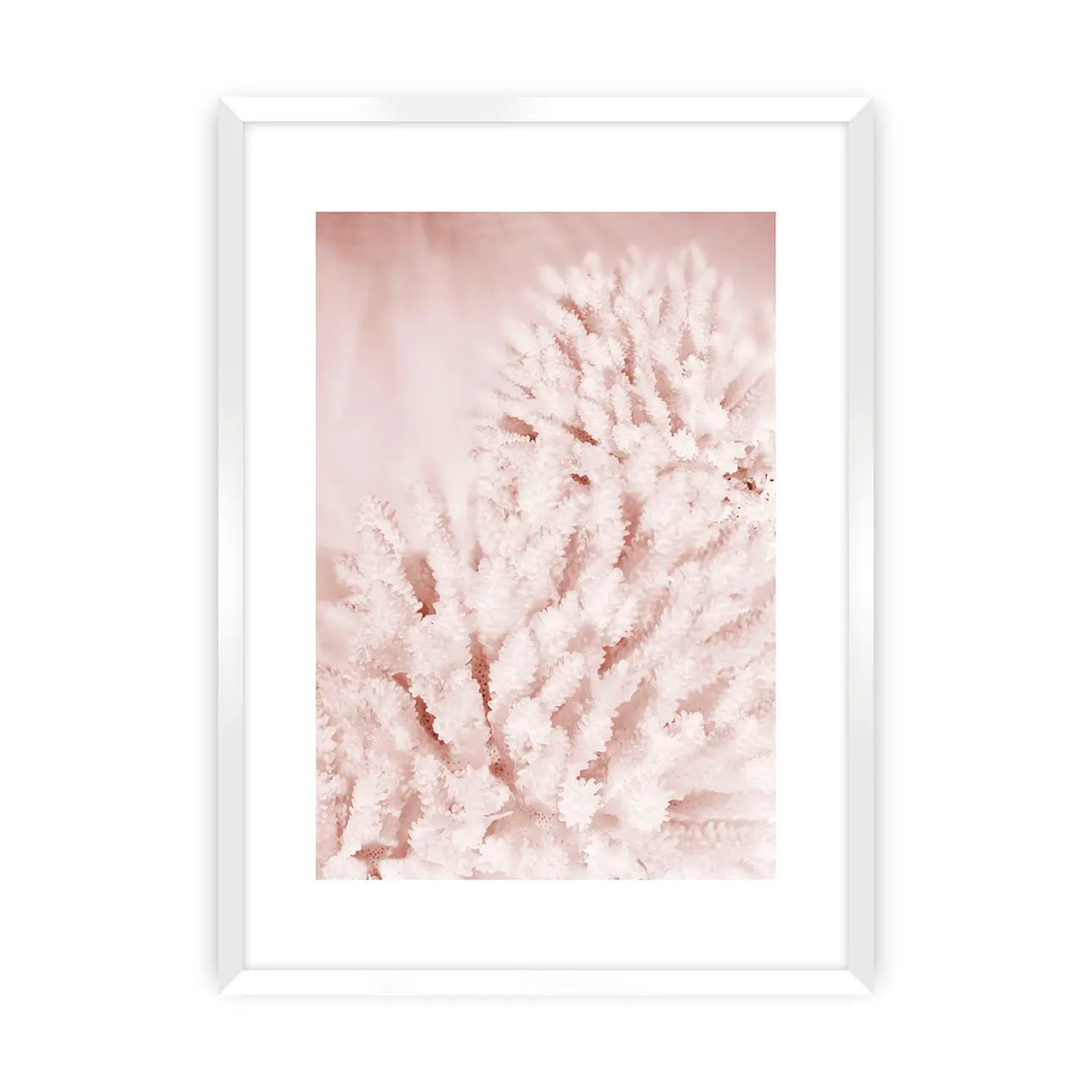 Dekoria Plakát Pastel Pink II, 21 x 30 cm, Zvolit rámek: Bílý
