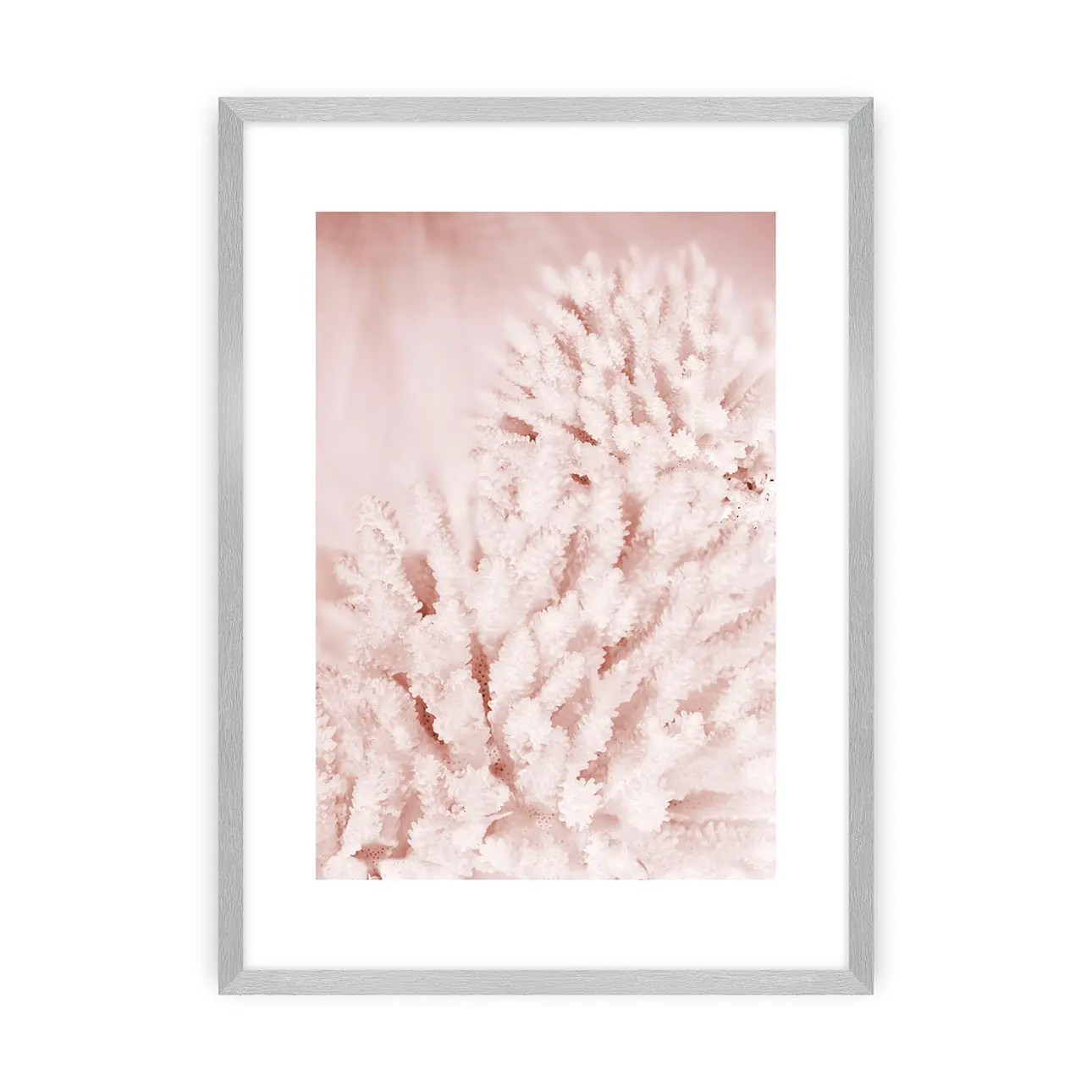 Dekoria Plakát Pastel Pink II, 30 x 40 cm, Zvolit rámek: Stříbrný