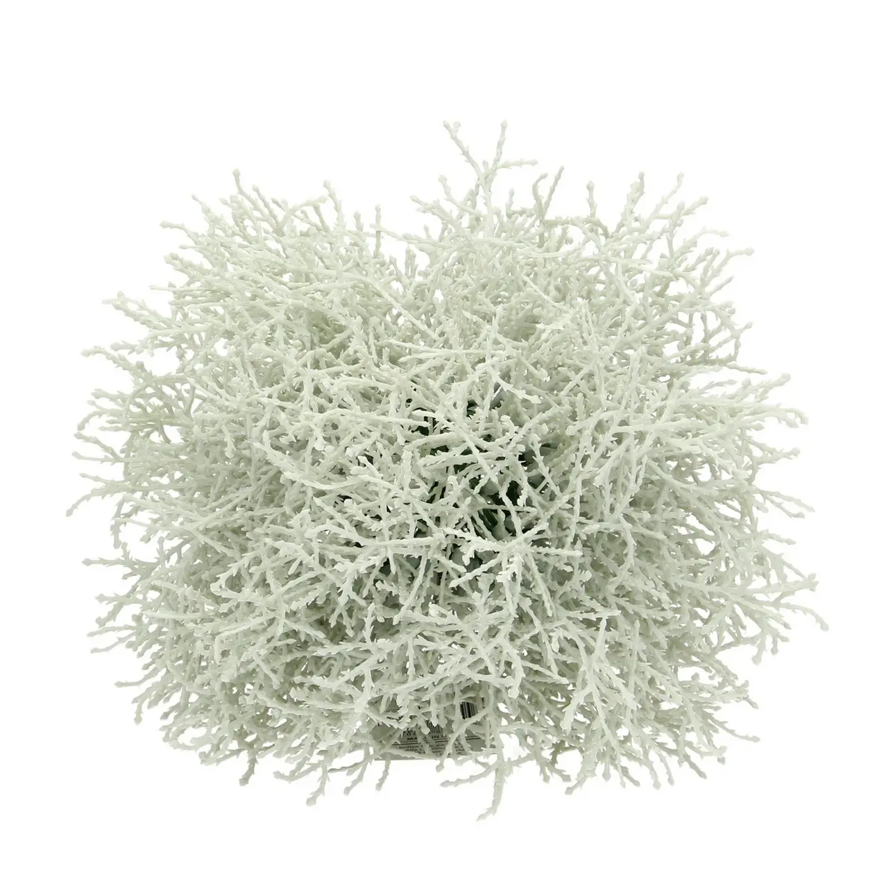 Dekoria Dekorace Grass  ⌀20cm, 20 x 20 cm